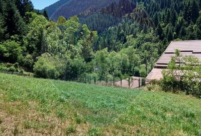 Teren Construcții intravilan de 1349 mp, în Scărișoara - 3