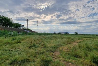 Teren Construcții intravilan de 10000 mp, în Nord-Est - 8