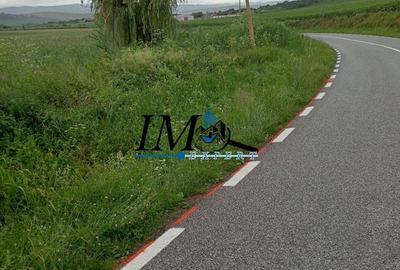 Teren de 2900 mp, în Șpring - 3