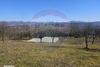 Teren de 4627 mp, în Bârsana - 3