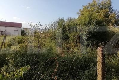 Casa 85 mp, 3 camere, baie 1000 mp teren, in Sard - 2