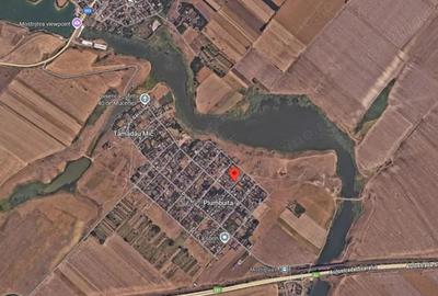 Casa si teren-Com Tamadau Mare, jud. Calarasi - 6