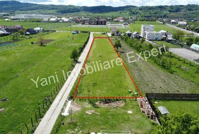 Teren de 2414 mp, în Valea Uleiului - 3