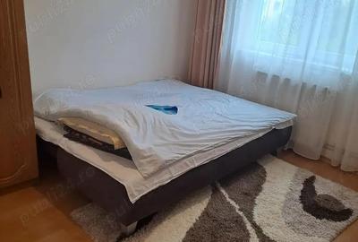 Apartament cu doua camere, zona Cri?an - 4