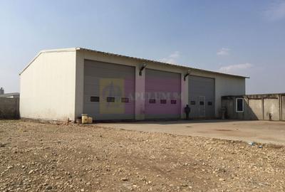 Spațiu industrial, de 330 mp, în Sud