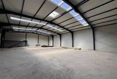 Spațiu industrial, de 1,380 mp, în Central - 10