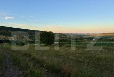 Teren extravilan in zona Dealul Fanatelor-Clyde Town - 3