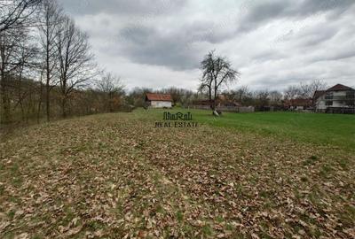 Teren de 9370 mp, în Țebea - 13