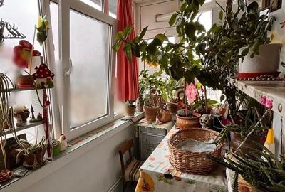 Apartament 3 camere Nicolina-Prima Statie-Lidl, 60mp - 8