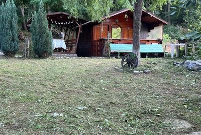 Teren de 1050 mp, în Păușești - 14