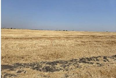 Teren de 16700 mp, în Periferie - 14