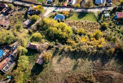 Teren intravilan 15267m2 Teren intravilan 15267m2 - 7