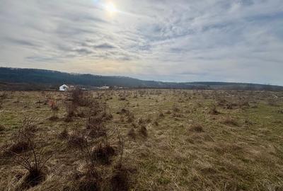 Teren Construcții intravilan de 802 mp, în Pișchia - 1