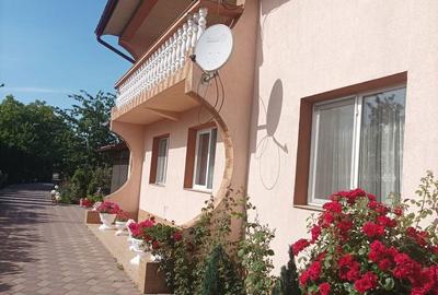 Casă cu 10 camere cu Teren 4900 Mp în Vlădeni - 3