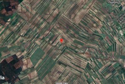 Teren de 18318 mp, în Ștefan cel Mare - 2