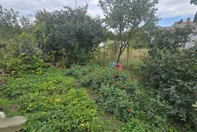 Casă cu 3 camere în Căpușu Mic - 2