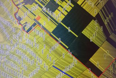 Teren Agricol, DN 6, Ghimpati, GR. - 3