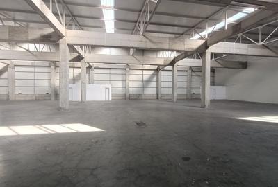 Spațiu industrial, de 700 mp, în Zona Industrială