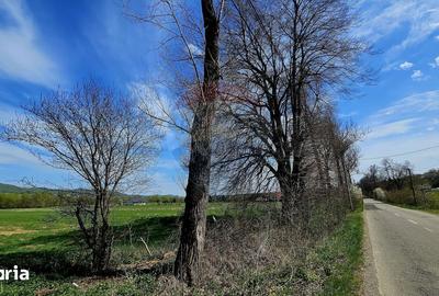 Teren de 10000 mp, în Vânători-Neamț - 3