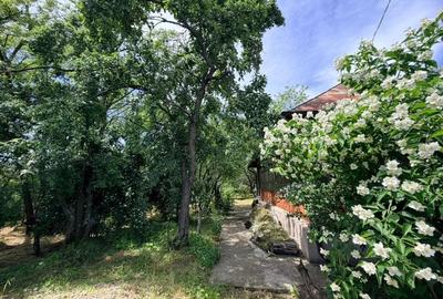 Casă cu 2 camere cu Teren 1192 Mp în Mischii