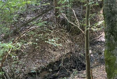 Spațiu comercial, în Vișagu - 6