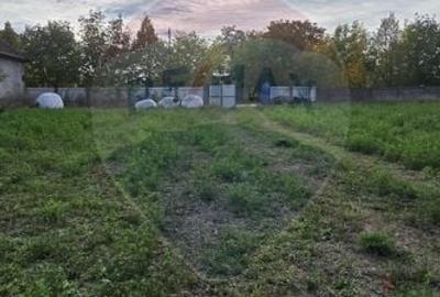 Casă individuală cu 3 camere cu Teren 7290 Mp în Socodor - 28