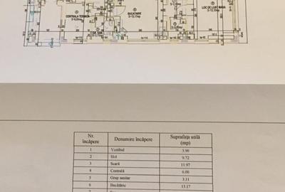 Izbiceni-Coralilor-Damaroaia,eleganta si robusta,cu garaj,curte intima,vegetatie - 44