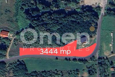 Teren Construcții intravilan de 3444 mp, în Tăuții-Măgherăuș - 1