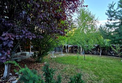 Moreni , Dambovita , vanzare proprietate -casa si teren - 26