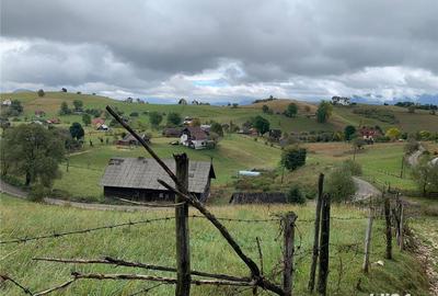 Teren de 5317 mp, în Șirnea - 8
