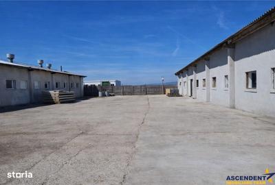 Spațiu comercial, de 800 mp, în Colonia Bod - 1
