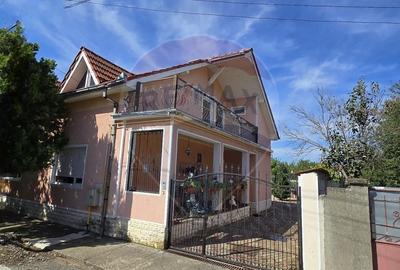 Casa cu etaj deosebita in Chisineu-Cris - un camin creat cu suflet - 38