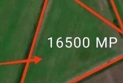 Teren de 16500 mp, în Ciupercenii Noi - 1