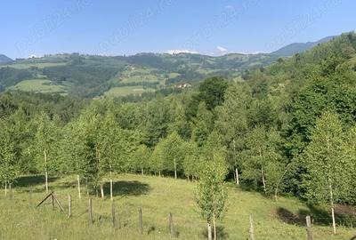 Teren de 4069 mp, în Poiana Mărului - 1