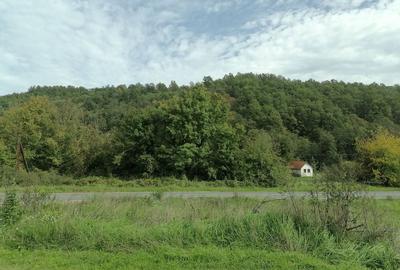 Teren de 30000 mp, în Central