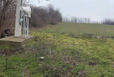 Teren de 6700 mp, în Central - 4