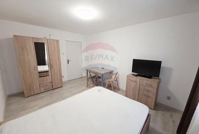 Apartament cu 1 camere de vanzare in zona 1 Mai - 5