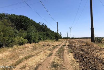 Teren agricol extravilan de 11884 mp, în Moara Vlăsiei