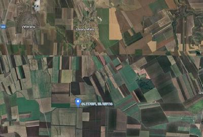 Teren de 9500 mp, în Cobadin - 9