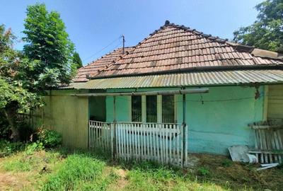 Casă cu Teren 971 Mp în Păingeni - 2