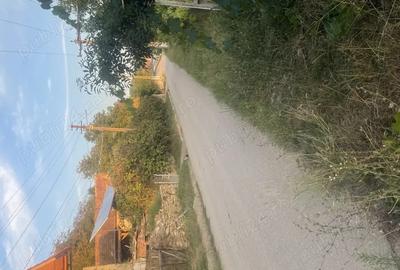 Casă cu 2 camere în Ormeniș - 13