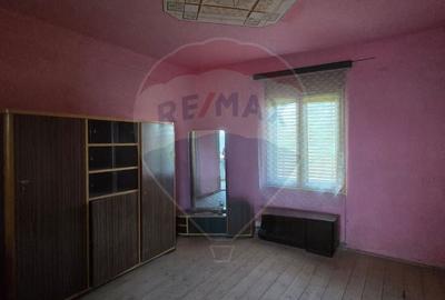 Casa de vanzare in Graniceri aproape de Arad - 9