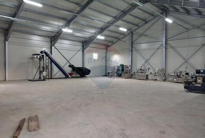 Spațiu industrial, de 1,120 mp, în Dumbrăveni - 19