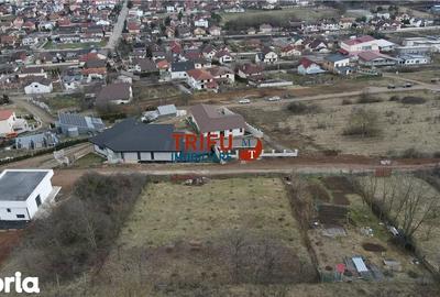 Teren de 990 mp, în Cetate - 2