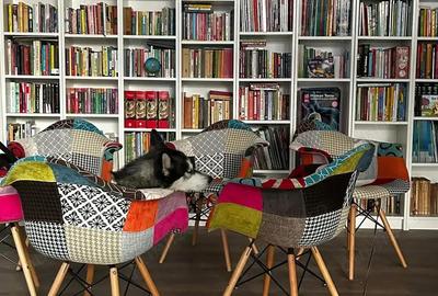 Spațiu comercial, de 567 mp, în Central - 4