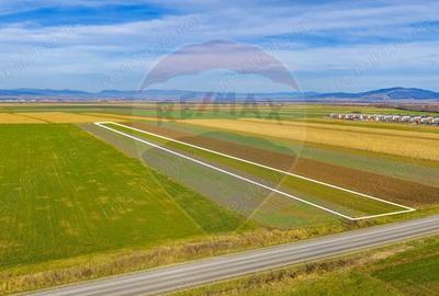 Teren 10,000mp Tarlungeni - 3