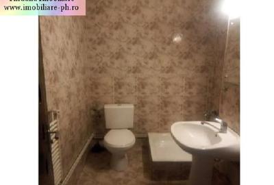 Spatiu birouri de inchiriat: Ultracentral(Stefan Greceanul),120 mp - 6