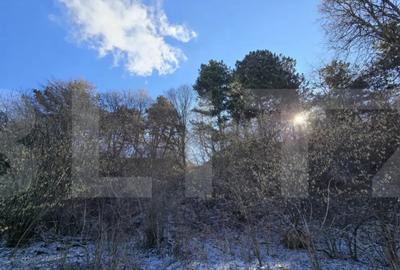 Teren în Feleacu - 8