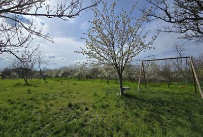 Casă cu 4 camere în Băneasa - 5