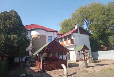 ViLA de LUX cu un DESIGN deosebit in centrul orasului Nadlac - 9